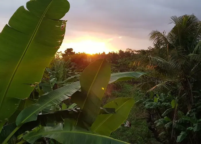 Hotel Ayumar Medewi Pulukan